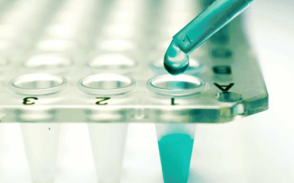 stem cell hair transplants