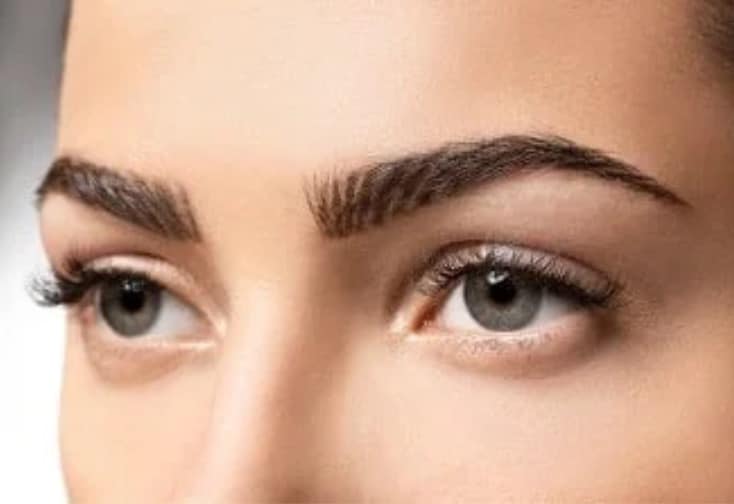 Eyebrow Transplants